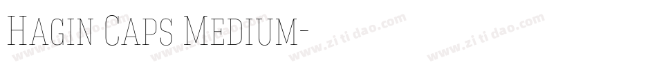 Hagin Caps Medium字体转换